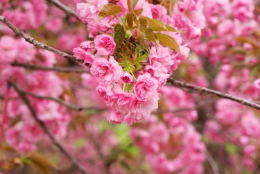 绍兴柯桥区1线下个人借款平台一站式服务，轻松解决资金难题