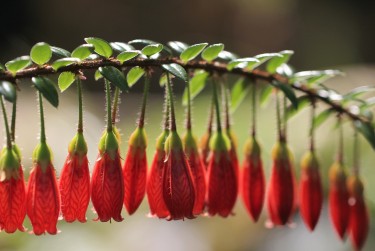 绍兴柯桥区1零用贷短借：轻松解决临时资金需求
