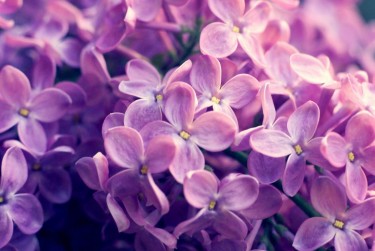 绍兴柯桥区1企业急用钱贷款攻略：快速融资解燃眉之急